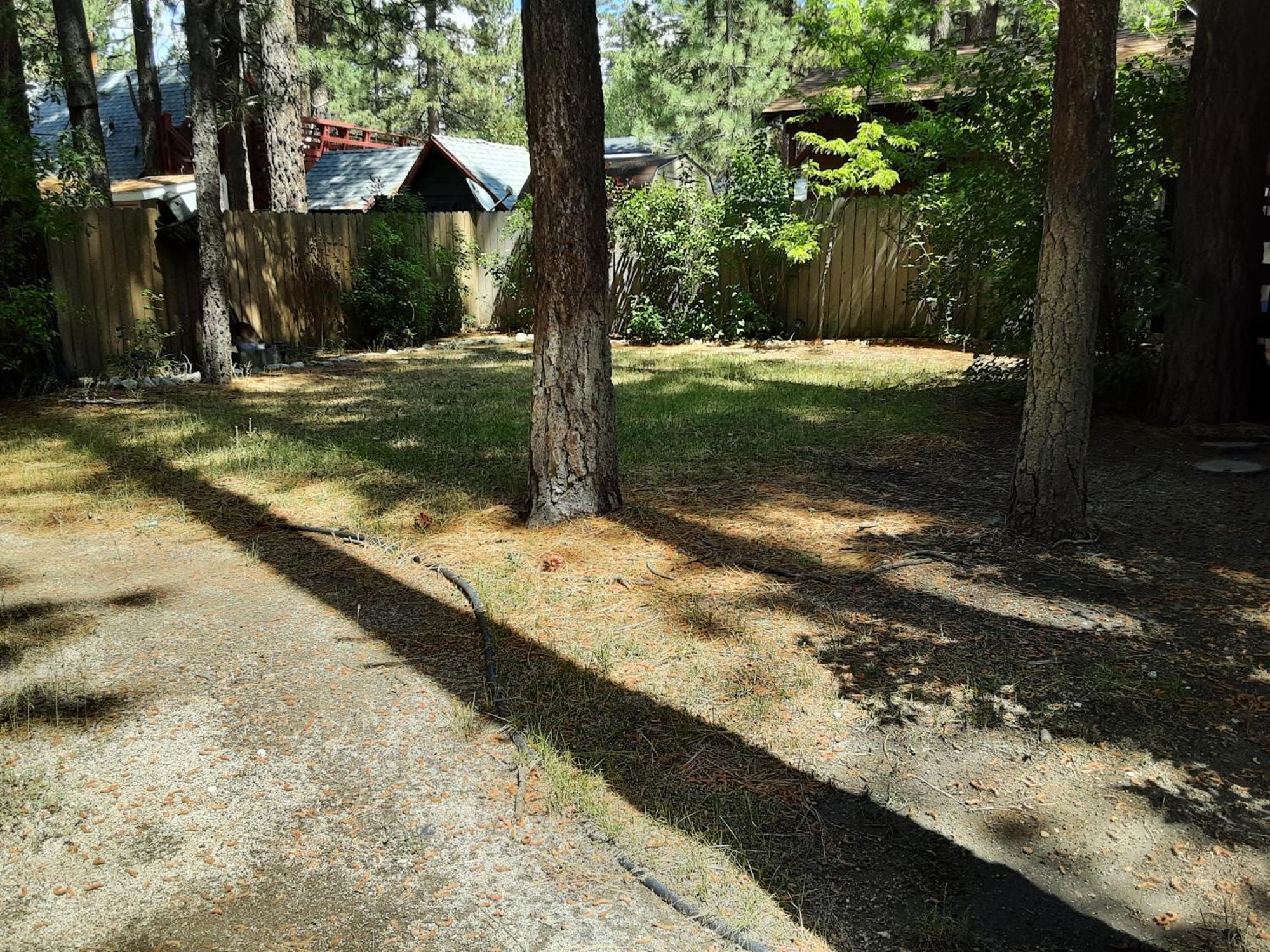 Bearadise - Prime Location For A Family Getaway In The Winter Or Summer Big Bear City Exteriér fotografie